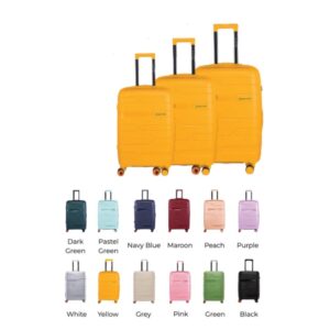 Nasher Miles Paris 20"Inch