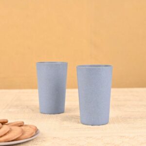 FROSTED TUMBLER - EH